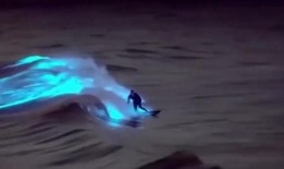 海洋最新爆料视频,最新海洋爆料视频带你探索未知世界